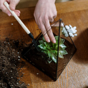 Small terrarium
