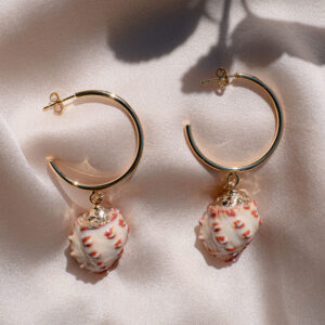 Seashell Earrings